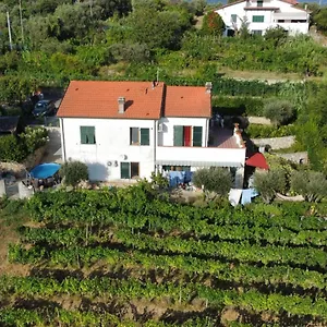 In Vino Veritas Panzió
